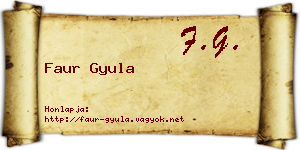 Faur Gyula névjegykártya